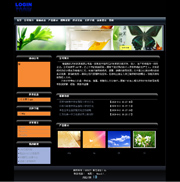 ��վ����ģ��247������վģ��247����վ����psdģ��247