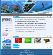 ��վ����ģ��262������վģ��262����վ����psdģ��262